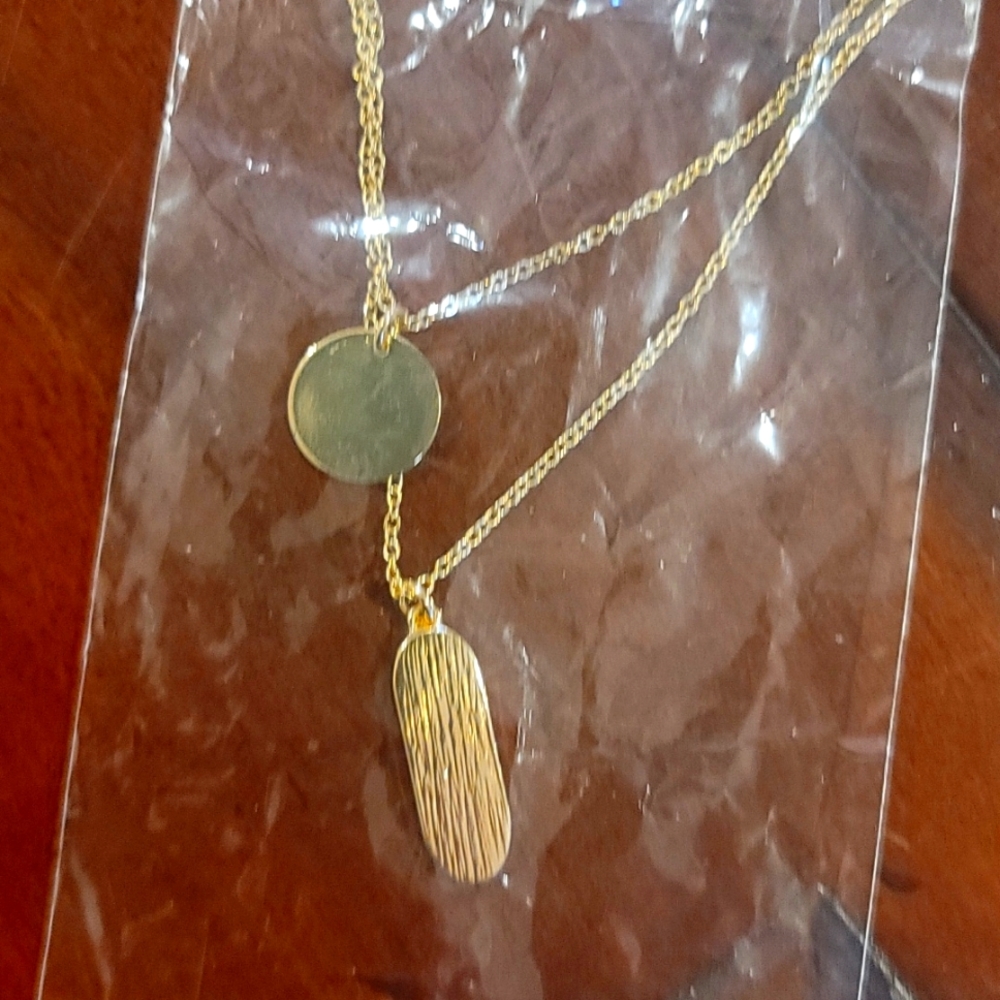 Double chain necklace